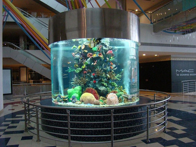 海洋珊瑚鱼缸