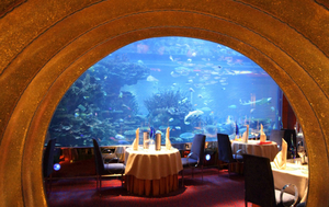 海洋餐厅鱼缸