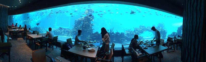 海棠湾酒店3.jpg