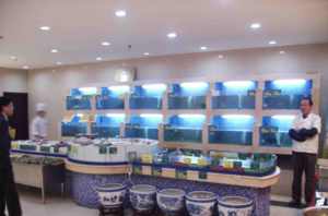 酒店海鲜鱼缸